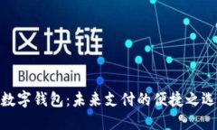 数字钱包：未来支付的便捷之选