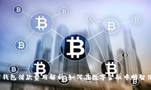 数字钱包借款费用解析:如何在数字金融中明智借款?