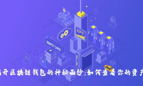 揭开区块链钱包的神秘面纱:如何查看你的资产?