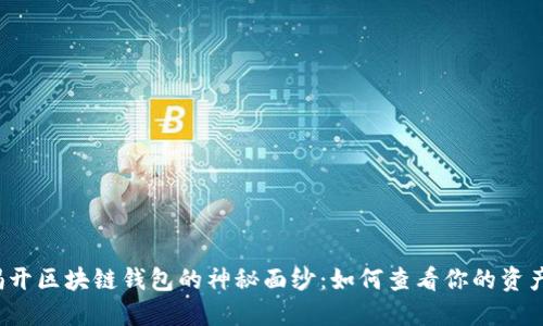 揭开区块链钱包的神秘面纱:如何查看你的资产?