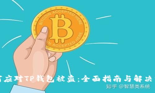 如何应对TP钱包被盗:全面指南与解决方案