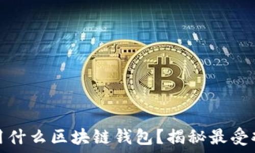 中国用户用什么区块链钱包?揭秘最受欢迎的选择