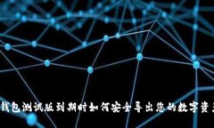 TP钱包测试版到期时如何安全导出您的