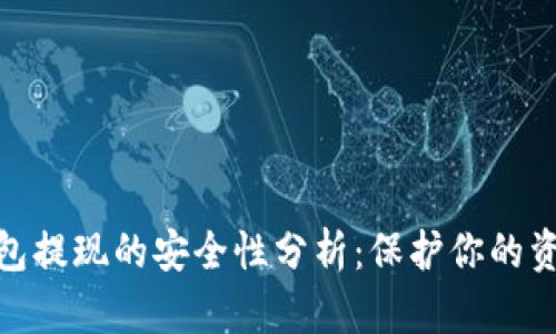 数字钱包提现的安全性分析:保护你的资金安全