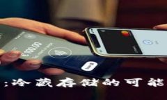 数字钱包的未来：冷藏存储的可能性与