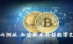 华为钱包内测版：加密技术引领数字支
