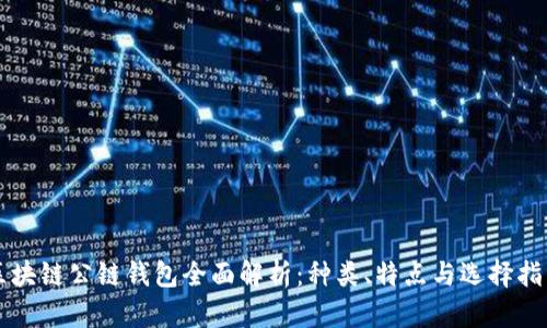 区块链公链钱包全面解析:种类、特点与选择指南