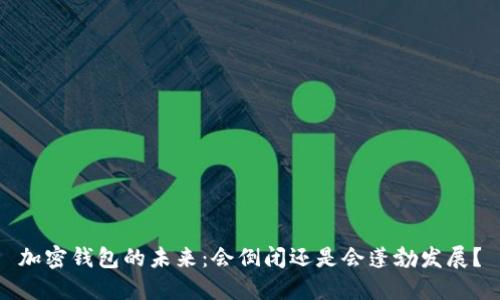 加密钱包的未来:会倒闭还是会蓬勃发展?