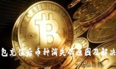 TP钱包充值后币种消失的原因及解决方