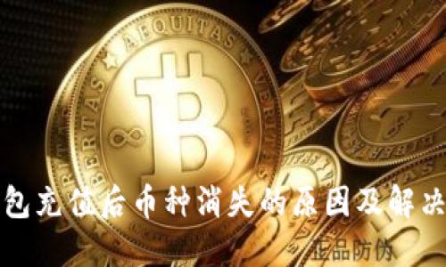 TP钱包充值后币种消失的原因及解决方案