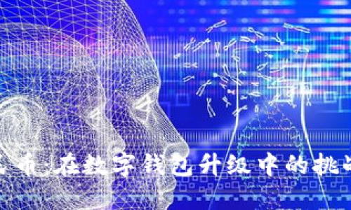 数字人民币:在数字钱包升级中的挑战与机遇