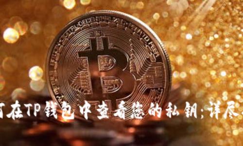 如何在TP钱包中查看您的私钥:详尽指南