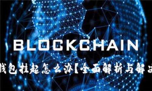 数字钱包挂起怎么办?全面解析与解决方案