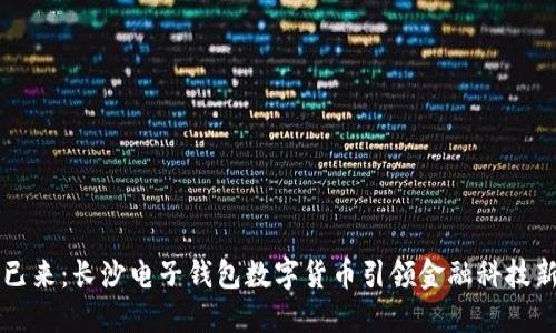 未来已来:长沙电子钱包数字货币引领金融科技新潮流