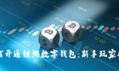 如何开通链游数字钱包：新手玩家指南