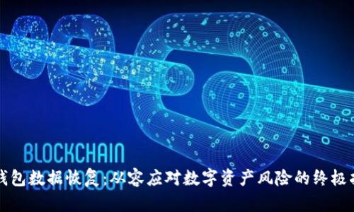 TP钱包数据恢复:从容应对数字资产风险的终极指南