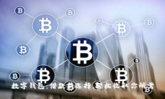 数字钱包：借款新选择，轻松收取你所