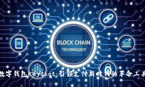 数字钱包Keyshot:引领支付新时代的革命工具