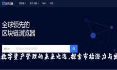 TP钱包：数字资产管理的未来之选，探