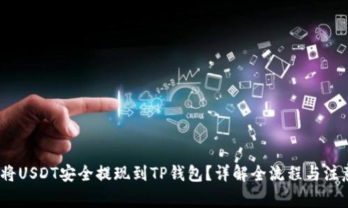 :如何将USDT安全提现到TP钱包？详解全流程与注意事项