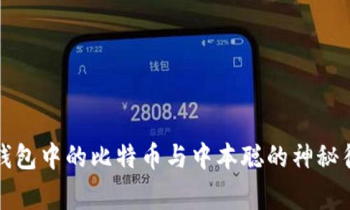 TP钱包中的比特币与中本聪的神秘往事