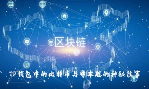 TP钱包中的比特币与中本聪的神秘往事