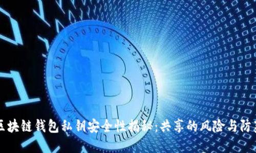 区块链钱包私钥安全性揭秘:共享的风险与防范
