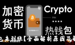   数字钱包未到账？全面解析原因及解