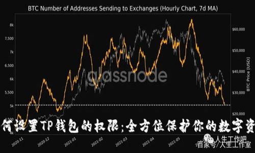 如何设置TP钱包的权限:全方位保护你的数字资产