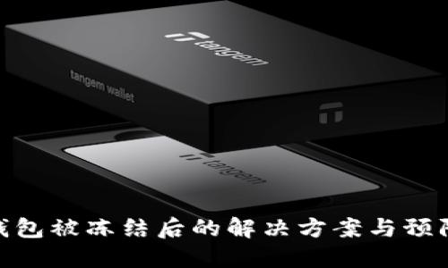数字钱包被冻结后的解决方案与预防措施