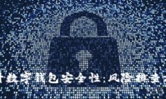 全面提升数字钱包安全性：风险排查方