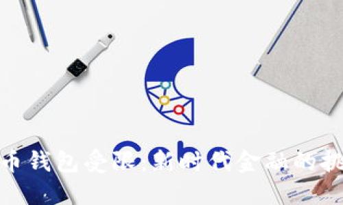 数字人民币钱包受限:新时代金融的挑战与机遇
