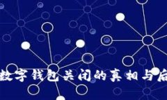 : 建设银行数字钱包关闭的真相与后续