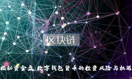 揭秘资金盘:数字钱包货币的投资风险与机遇