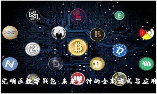 深圳光明区数字钱包:未来支付的全新方式与应用前景