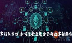 数字钱包分档：如何选择最适合你的数
