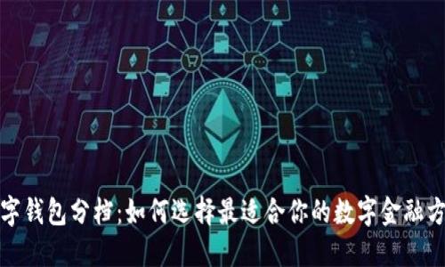 数字钱包分档：如何选择最适合你的数字金融方案