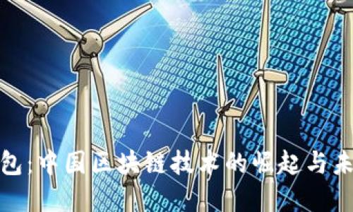 : TP钱包:中国区块链技术的崛起与未来发展