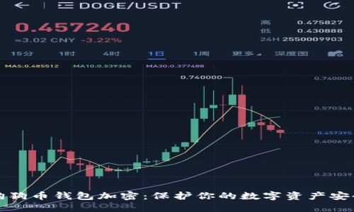 狗狗币钱包加密：保护你的数字资产安全