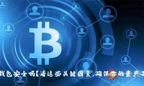 区块链钱包安全吗?看这些关键因素,确保你的资产不被盗走