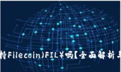 TP钱包支持Filecoin（FIL）吗？全面解析