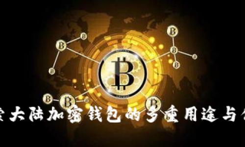 探索大陆加密钱包的多重用途与优势