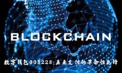 数字钱包005228：未来支付的革命性先锋