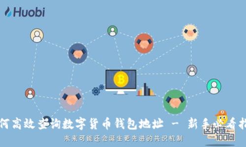 如何高效查询数字货币钱包地址 - 新手必看指南