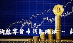 如何高效查询数字货币钱包地址 - 新手