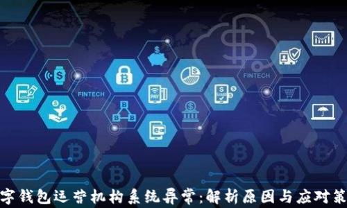 数字钱包运营机构系统异常:解析原因与应对策略