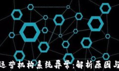 数字钱包运营机构系统异常：解析原因