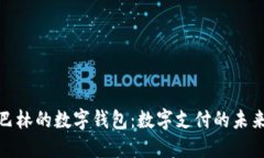 探索巴林的数字钱包：数字支付的未来
