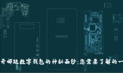 揭开邮政数字钱包的神秘面纱：您需要