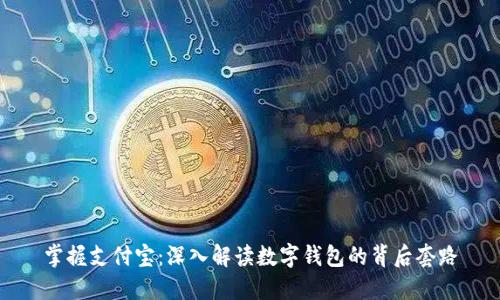 掌握支付宝:深入解读数字钱包的背后套路